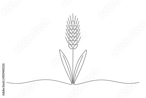 Single line of wheat stalk with grains and leaves single line minimalist