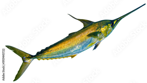 Εκτύπωση καμβά Striking blue and gold swordfish with a distinctive bill in a dynamic ocean pose