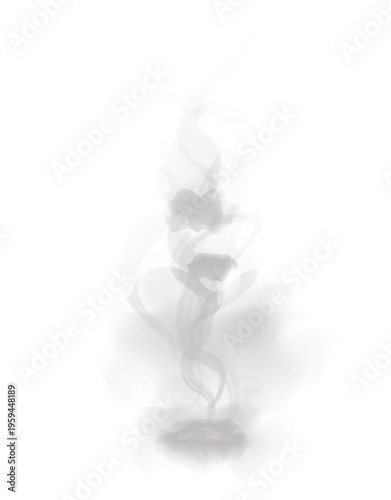 white smoke tornado swirl, abstract vapor vortex funnel shape, realistic fog spiral motion