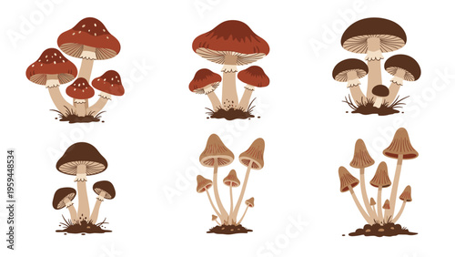 Multiple clusters of red and brown forest mushrooms with white spots and long stems isolated on a white background.