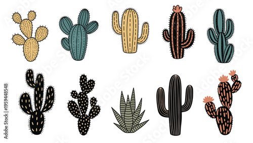 Set of stylized cactus plants in various shapes, colors, and patterns isolated on a white background for desert design.