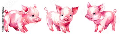 Watercolor illustration of three cute pink piglets standing together, charming farm animal artwork, playful baby pigs isolated on white background
