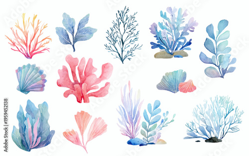 Watercolor corals and seaweeds creating an underwater marine life collection, portraying vibrant ocean flora and aquatic nature on a clean white background