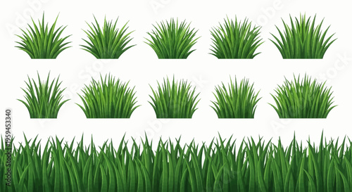 Set of Green Grass Tufts and Horizontal Border Isolated on White Background. Realistic Vector Illustration for Nature and Landscape Design.