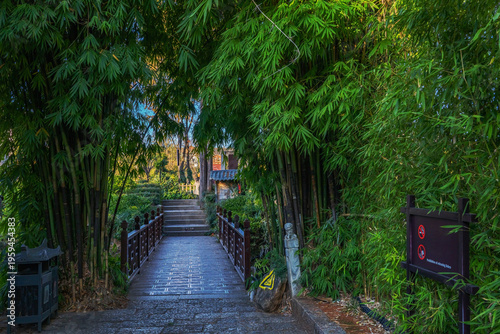 The natural beauty of Heilongtan Park in Lijiang City, Yunnan Province, China, on January 12, 2026