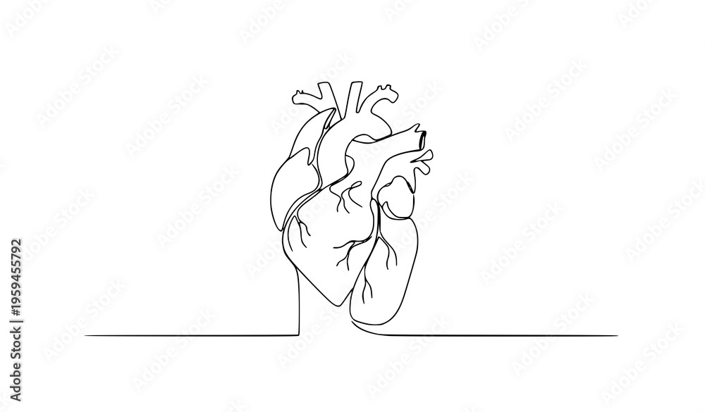 Fototapeta premium Minimal One Line Human Heart Silhouette – Continuous Line Medical Icon Vector