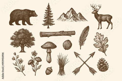 Bundle with forest flora fauna illustrations for naturethemed designs. Ideal for ecofriendly brands, wildlife organizations, and outdoor products.