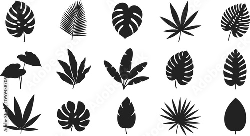 Collection of diverse tropical leaf silhouettes