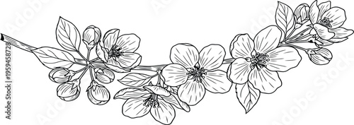 Black and white floral branch illustration