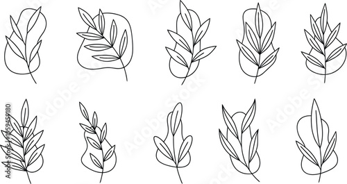 Collection of nine distinctive leaf illustrations