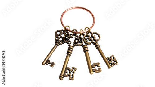 Obraz na plátně Elegant antique skeleton keys on a copper keyring, representing secrets, opportu
