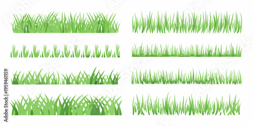 Collection of various green grass blades arranged in horizontal rows