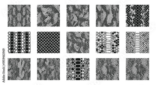 Snake Skin Patterns Collection: Realistic & Abstract Textures