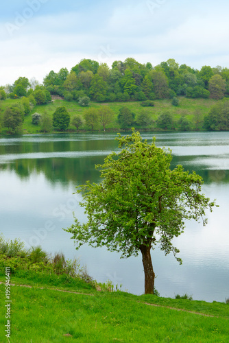 Spring morning meadow near the river with green tree on the shore.