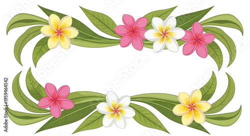 Tropical floral border with frangipani flowers and green leaves