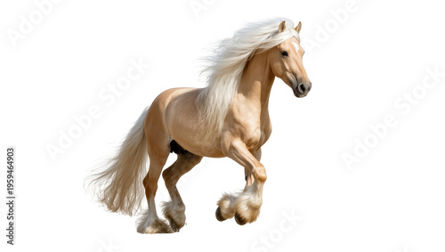 Foto Powerful golden palomino horse with magnificent flowing mane and tail trotting g