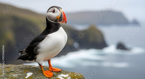 A puffin standing on a rocky cliff overlooking the ocean
