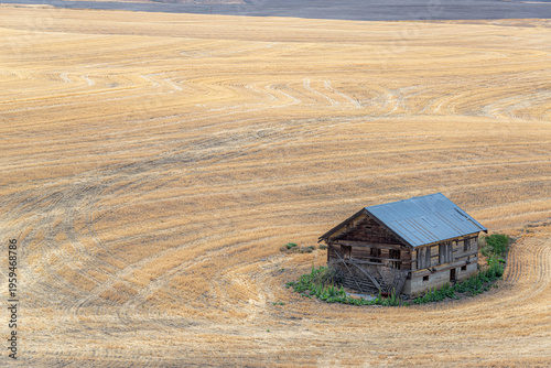 Old wooden shack in dry Oregon farm field