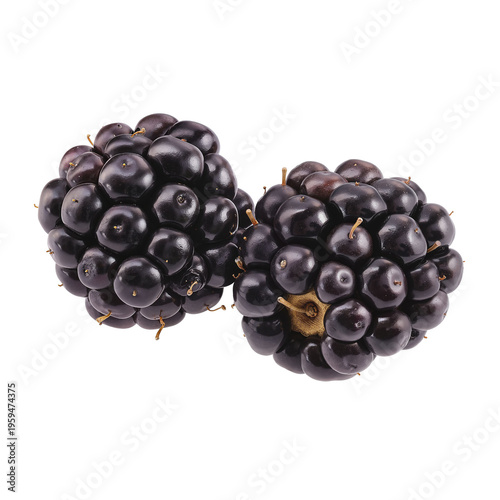 Blackberries on White Background – Fresh Dark Purple Fruit for Food Packaging and Healthy Eating Blogs