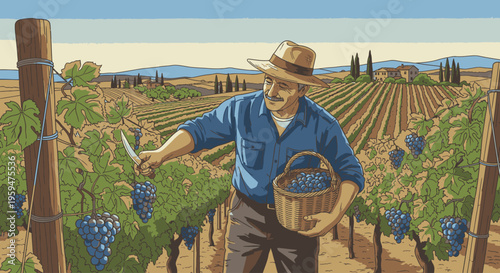 Illustration of a man harvesting grapes in a vineyard with rows of lush green vines and a mountain range in the background.