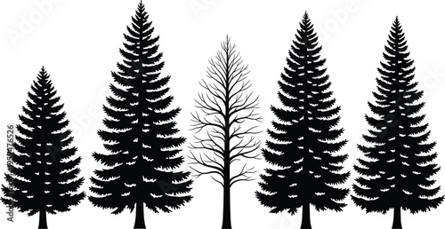 WebPine Tree Silhouette Vector Collection, Evergreen Forest Fir and Spruce Conifer Trees with Bare Winter Branch Tree for Nature Landscape,
