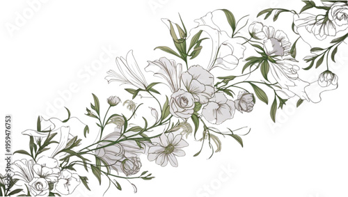 Branch of a tree with white flowers and green leaves on white background