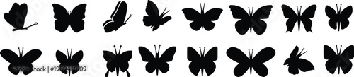Black butterfly silhouettes. Outline butterflies romantic tattoo, tropical insects stencil. Summer and spring exotic symbols isolated vector set. Elegant wild flying moth of various shapes