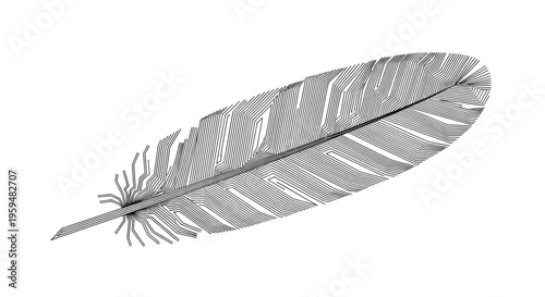 Stylized feather with intricate, layered lines creating a textured, graphic appearance