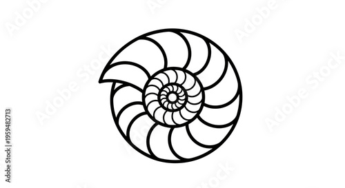 Black and white outline of a nautilus shell, showcasing its spiraling chambers