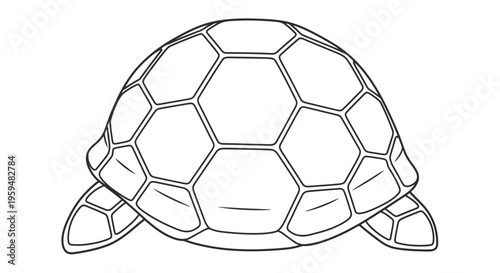 A simple outline drawing of a turtle shell with its legs visible