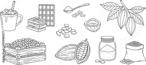 Cocoa and chocolate ingredients set with beans, powder and drinks. Hand drawn vector illustration of cacao pods and products. Vintage food elements isolated.