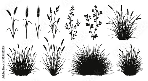 Set of Grass and Wild Plant Silhouettes, Black Meadow Weeds and Bush Icons Isolated on White