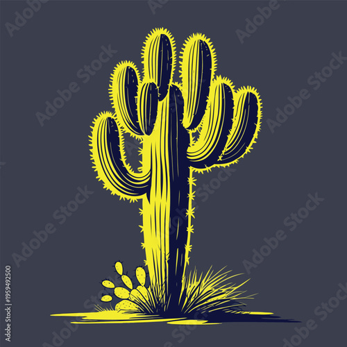 Cactus tree vector image