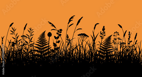 Black Silhouettes of Wild Grasses, Ferns, and Meadow Plants Against an Orange Sunset Background