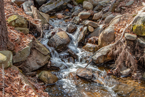 water cascading  through the forest of barrett park