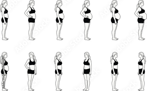 Vector illustration of pregnancy stages and postpartum body recovery progression for health and fitness content