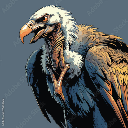 vector image of a carrion-eating vulture