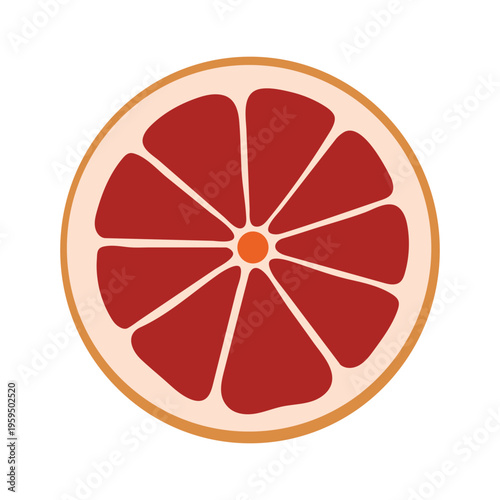 A vibrant illustration of a grapefruit slice on a, showcasing its juicy red pulp and segments