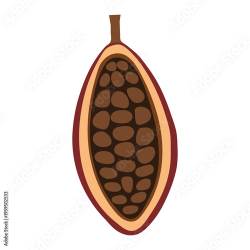 Cocoa pod with beans inside for food or dessert design