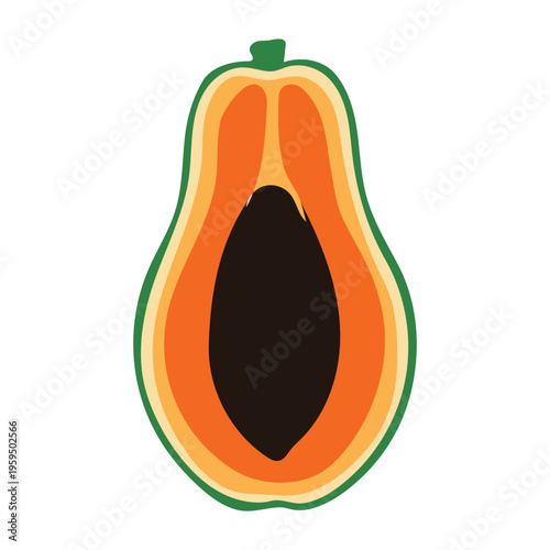 A vibrant illustration of a cut papaya on with green skin and orange pulp