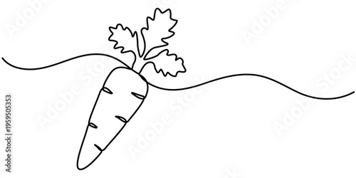 Continuous one line drawing of carrot vegetable. One line drawing vector illustration of carrot plant. Editable outline. 