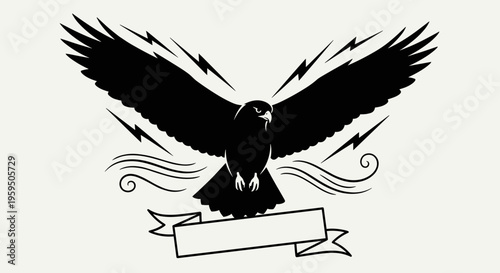 Black eagle bird in flight.