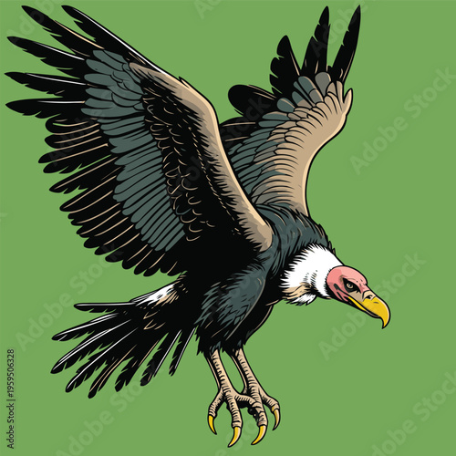 vector image of a carrion-eating vulture