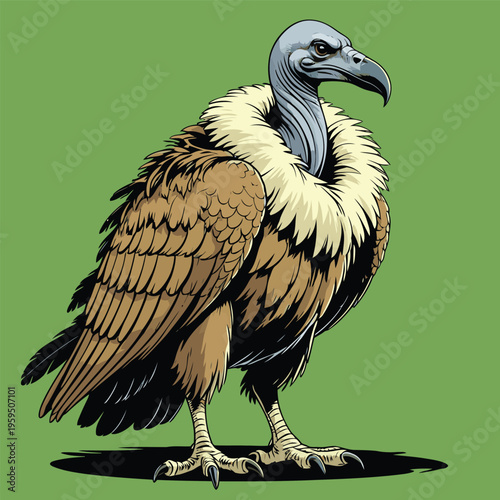 vector image of a carrion-eating vulture