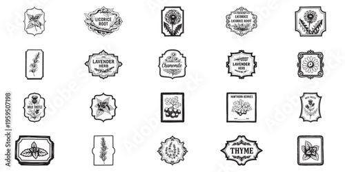 Vintage herbal apothecary label set featuring botanical illustrations in hand drawn style
