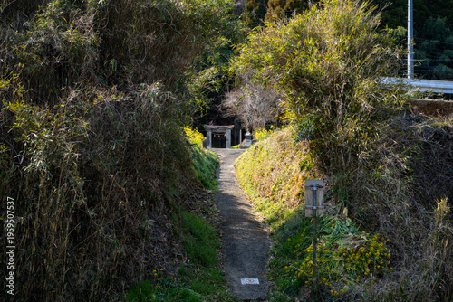Obraz na płótnie 線路と下野熊埜社の参道の風景（豊後大野市）