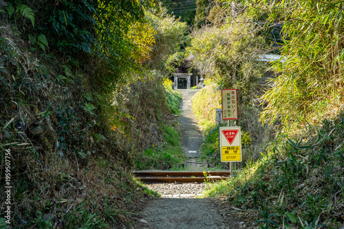 Obraz na płótnie 線路と下野熊埜社の参道の風景（豊後大野市）