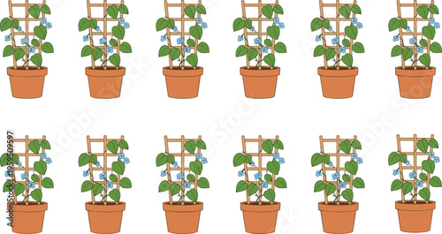 Potted flowering plants with trellis support and blue blossoms in botanical growth pattern vector illustration