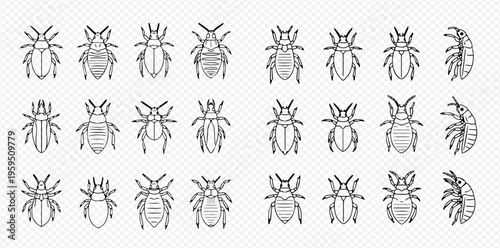 Set of various lice and ticks vector line icons, parasitic insects collection, pest control symbols.