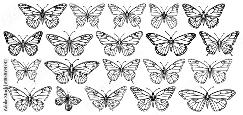Butterfly set with symmetrical line art design featuring cybernetic, mechanical, wings with white background and modern tech-nature
